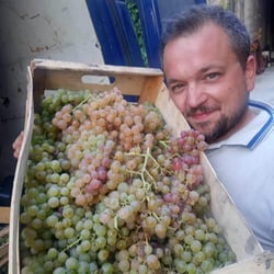 Vigne Del Pellagroso - Antonio Camazzola logo