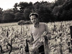 Domaine de L’Artilly - Armand de Tilly logo