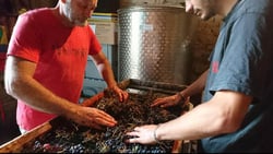 Domaine Arnaud Chapuis - Arnaud Chapuis logo