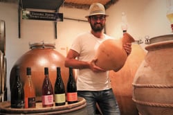 Domaine Aurélien Febvre - Aurélien Febvre logo