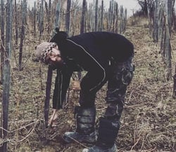 Chamber Winery Trojak - Komorní vinařství Trojak - Bogdan Trojak logo