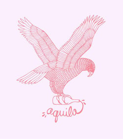 Aquila Cellars - Brandt Thibodeaux & Courtney Geyer logo