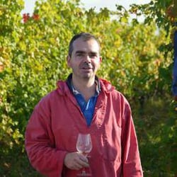 Bruno Dubois - Bruno Dubois logo