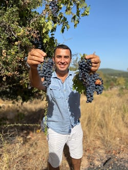Neferiye Wines - Caglar Bozcaga logo