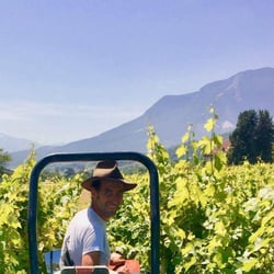 Domaine Mathieu Apffel - Camille & Mathieu Apffel logo