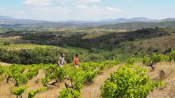 ETXE - Vignerons & Brasseurs - Carmen Etcheverry et Martin Ballot logo