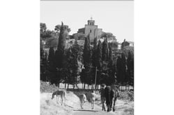 Les Deux Ânes - Caroline & Govinda Paulhan logo