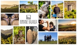Domaine Balansa - Céline Peyre & Alex Gressent logo