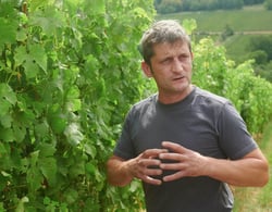Lindenlaub - Christophe Lindenlaub logo