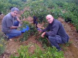 Vignes du Puch - Christophe Smith logo