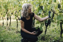 Podere le Volute - Claudia Galgani logo