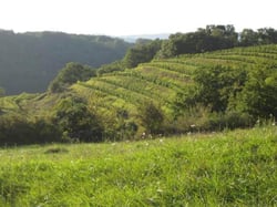 Domaine des Costes Rouges - Claudine & Eric Vinas logo