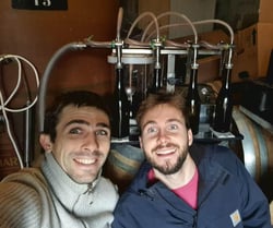Domaine de l’Or Vert - Clément Jeannoulot & Aurélien Le Tellier logo