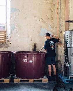 Delinquente Wine Company - Con-Greg Grigoriou logo