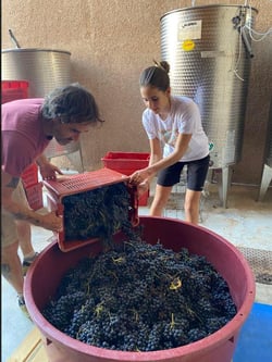 Terre di Pietra - Anna, Alice & Cristiano Saletti logo