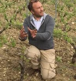 Domaine Du Nozay - Cyril de Benoist logo