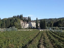 Fattoria di Sammontana - Daniele , Andrea & Lorenzo Dzieduszycki logo