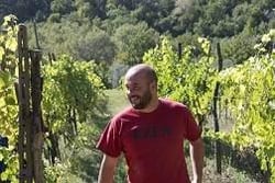 Sagona - Daniele Corrotti logo