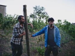 Agricola I Forestieri - Dario Marinari & Ezekiel Allassia logo