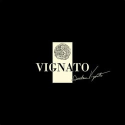 Davide Vignato Azienda Agricola - Davide Vignato logo