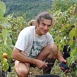 Domaine Montchovet - Didier Montchovet logo
