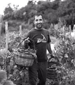 Cantina del Malandrino c/o Bagol'Area - Diego Bongiovanni logo