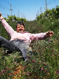 Kamara Winery - Dimitrios Kioutsoukis logo