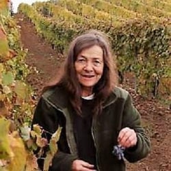 Poderi Sanguineto - Dora Forsoni logo