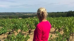 Domaine De La Tour Brune - Emilie Tourrette Brunet logo