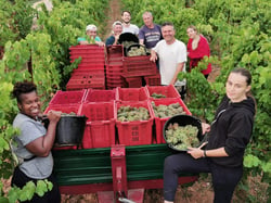 Domaine du Deffends - Famille de Lanversin logo