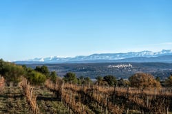 Domaine du Deffends - Famille de Lanversin logo