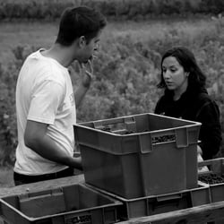 2P Production - Fanny Papelard & Romain Plageoles logo