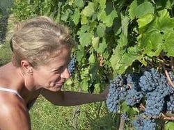 Auriel - Felice Cappa, Marta Peloso logo