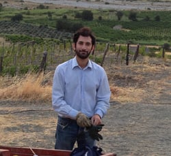 Azienda Agricola Nasciri - Domenico logo