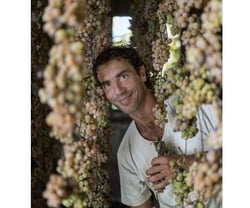 Cosimo Maria Masini - Tenuta di Poggio - Francesco De Filippis logo