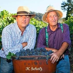 Bodegas Schatz - Friedrich Schatz logo