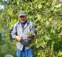 Gaioz Sopromadze Winery - Gaioz Sopromadze logo
