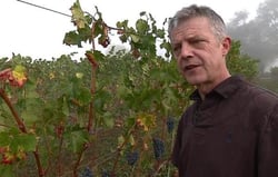 Vin Nu - Myrtilles Du Trimoulet - Geoffrey Estienne logo