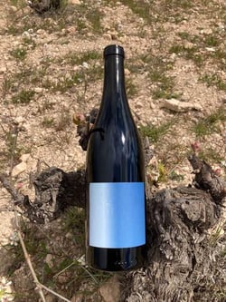 Panduro Vinos Murcia - Ibon Apezteguia & Henrik Falk logo