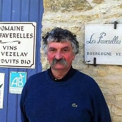 Domaine des Faverelles - Isabelle & Patrick Georgelin logo