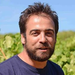 Domaine de l'Escarpolette - Ivo Ferreira logo