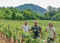 Vignoble Pellerin - Jean-Christophe, Baptiste & Lucien Pellerin logo