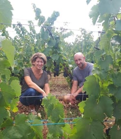 Domaine Jean François Debourg - Jean-François & Ghislaine Debourg logo