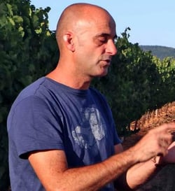 Mas Asturias Bodega Y Viñedos - José Mas logo