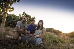 Celler Dumenge - Laia Esmel, Oriol Roig & Jaume Vilaseca. logo