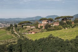 Tenuta di Valgiano - Laura di Collobiano & Moreno Petrini logo