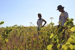 Domaine Les Abrigans - Laura Lees & Arthur Joly logo