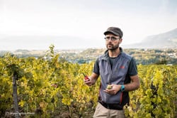 Domaine Ludovic Archer - Ludovic Archer logo
