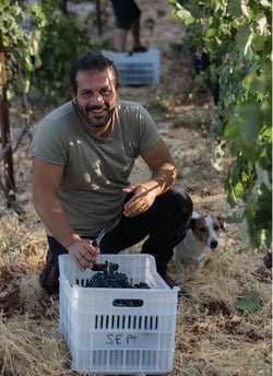 Sept Winery - Maher Harb logo
