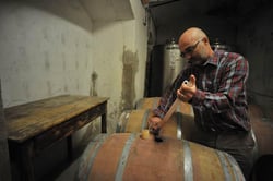 Azienda Agricola Santa Colomba - Marco Dani & Gianfranco Mistrorigo logo